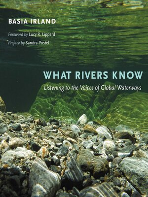 cover image of What Rivers Know
